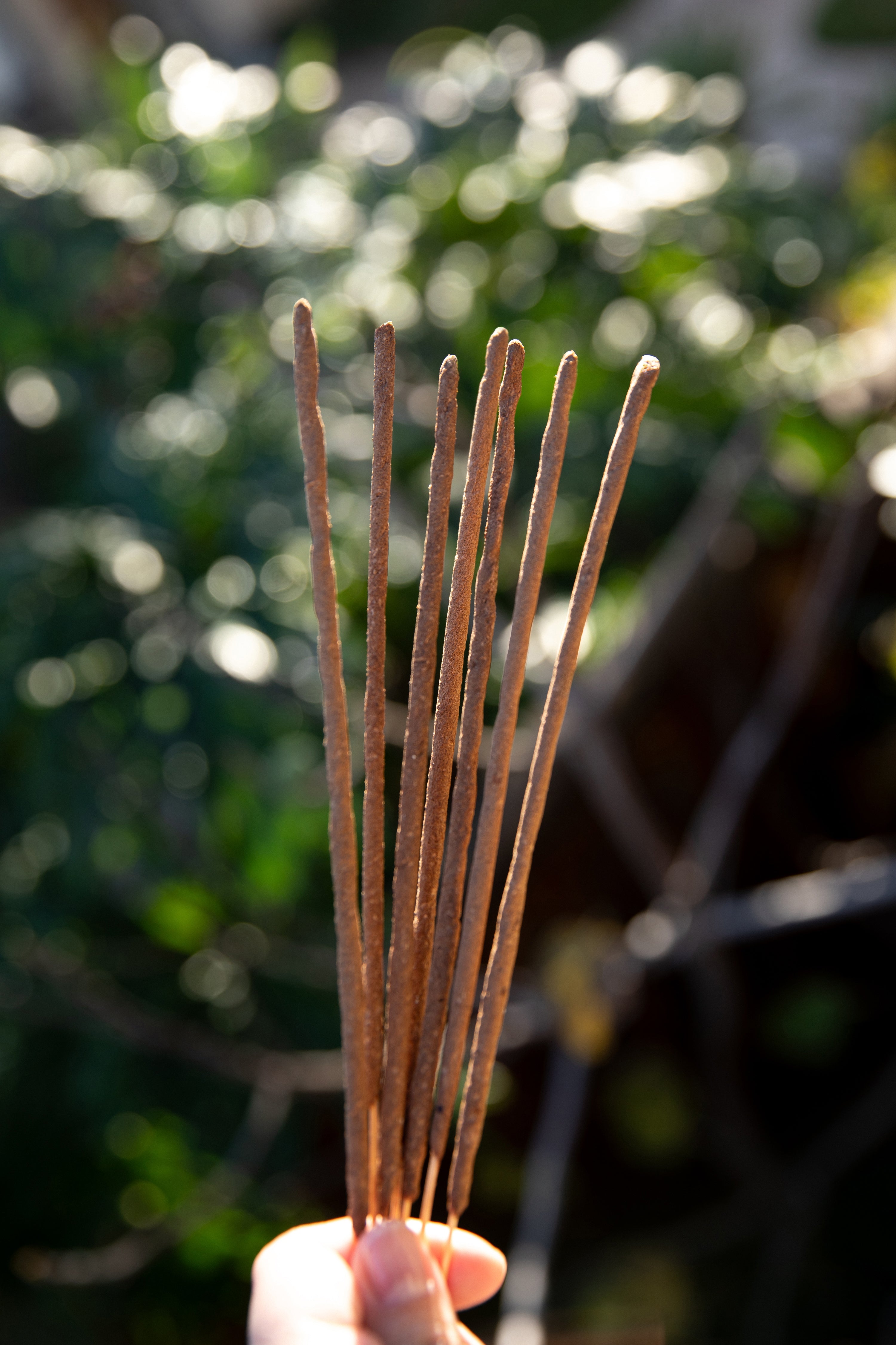 Lavender Calma Incense
